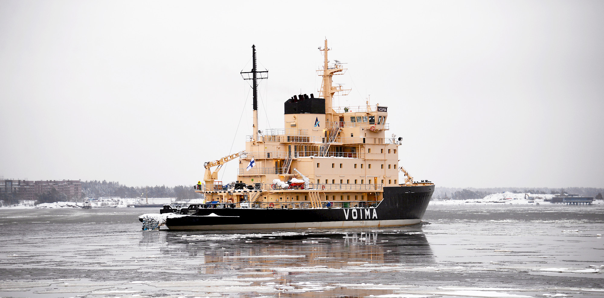 Voima