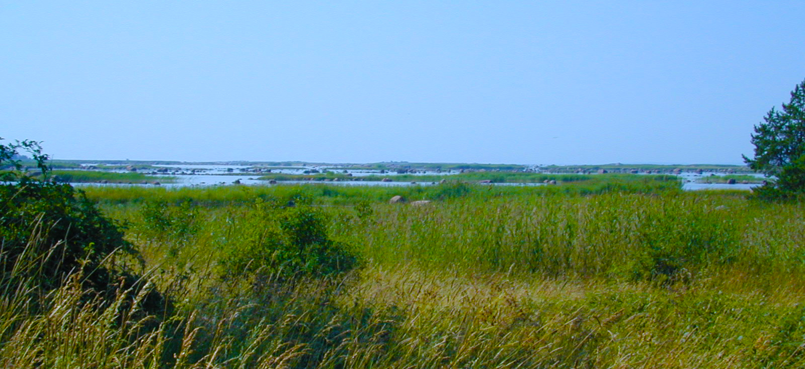 Kiilinranta